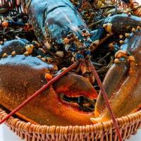 Nos prestations sur le secteur de Montivilliers 76290 en Seine Maritime